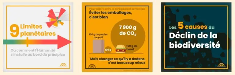 Exemples d'infographies de l'iglou.fr comme "9 limites planétaires", "les 5 causes du déclin de la biodiversité".