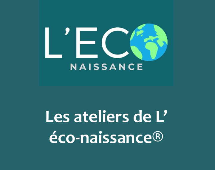 Logo Quiz Climat